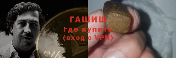 стаф Гусев