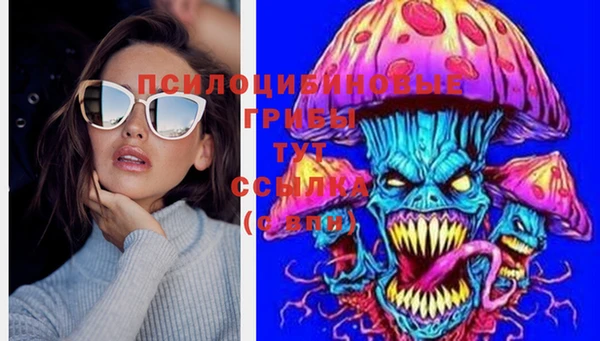 МДПВ Горняк