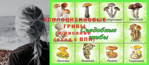 тгк Горно-Алтайск