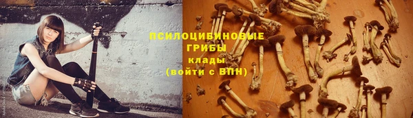 тгк Горно-Алтайск