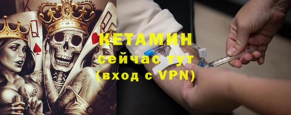 стаф Гусев