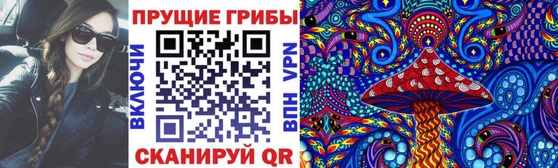 Галлюциногенные грибы Psilocybe как найти закладки Макарьев
